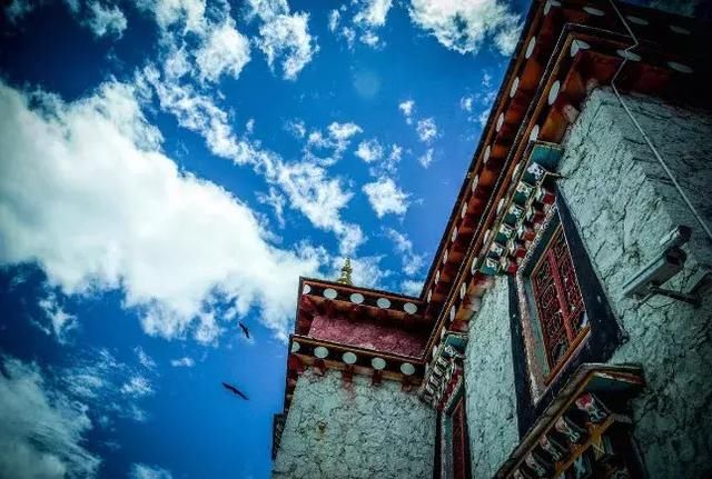 再过一个月,国内这处桃花盛景就要藏不住啦!囊括高原最美雪山!