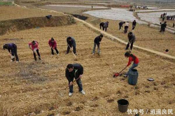 农民们注意了，这两种农业补贴开始发放了！