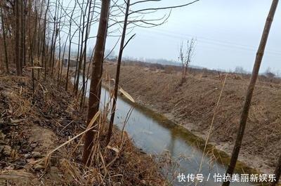  位于：该县位于河南省东北部，为历史悠久的千年古县，其老县城位于山东