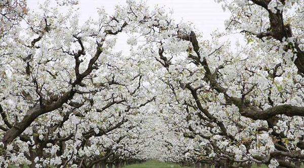  江苏@江苏、山东、河南和安徽四省交界，所在两个县，一个被称长寿之乡
