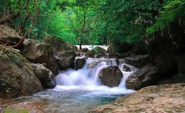 春天深呼吸,安吉来“氧”你!2020年三八女神节,可以来安吉旅游啦【2020热门旅游景点】