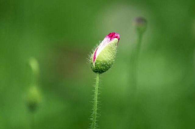 (说到心坎的句子)学着看淡一些事情,才是对自己