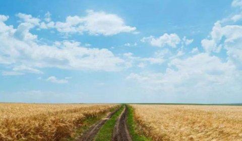  农民■8亿农民呼吁：提高粮价，专家称：不涨价能保护农民