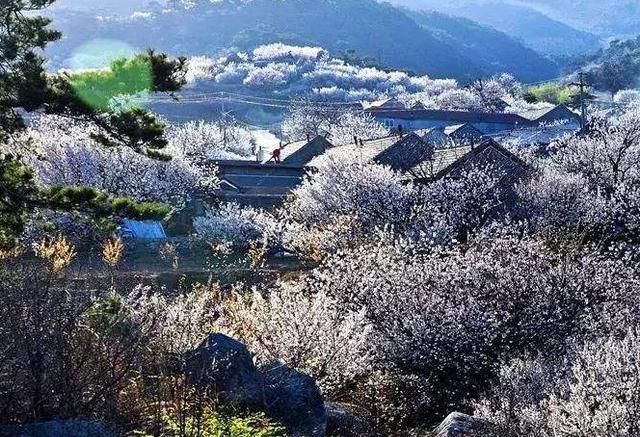 山东最美古村，葫芦描绘“乡村文明画”，摇身一变成“网红村”