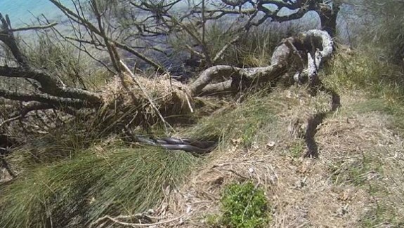 男子徒步留影, 第二天回看照片, 赞叹与死神擦肩而过