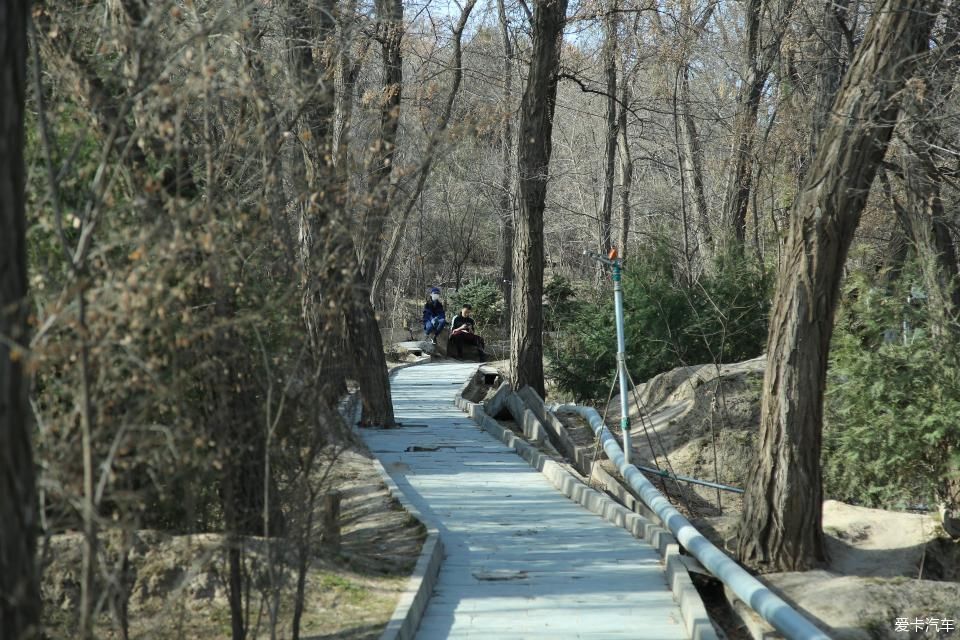  『兰州』大王泒我去巡山【2】兰州碑林