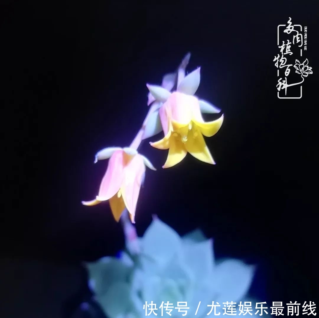  『那种』我爱的，就是你的存在！只要努力该来的都在路上！