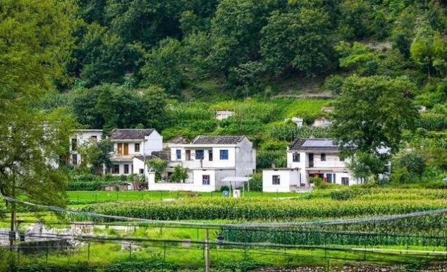  「非洲」非洲猪瘟过后，城市猪肉价格暴涨，为何农村几乎没有影