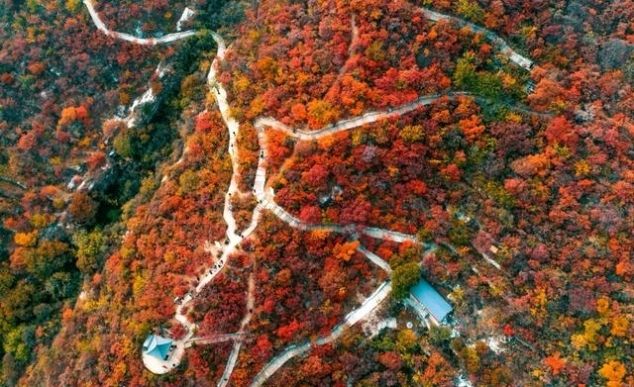 山上即将红叶漫天，山下百种山货齐聚，坡峰岭溜娃赏景一站配齐