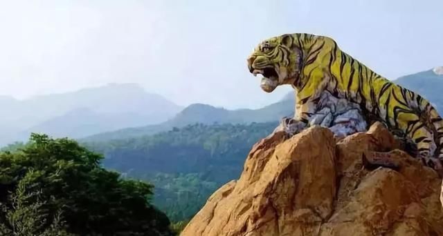 太太太太惊叹了！在地下4000年不灭！神人震撼全球！