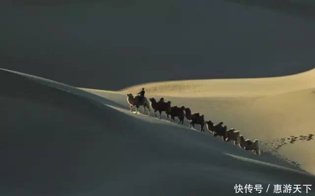 人间三月,桃红柳绿,杏花春雨,最美江南!