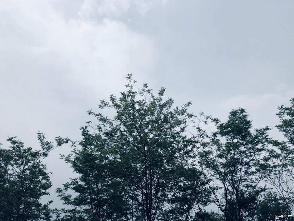  在家：喜欢上在家做的每一件事
