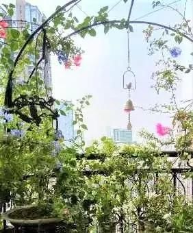 『回家』别人家的阳台好美，跟花艺师学了5种阳台种花的方法，回家搞起来