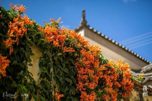 2019必去的小众旅行目的地！赶紧列入清单