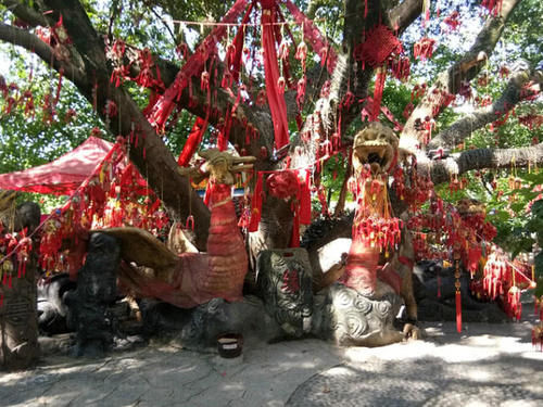  长寿之乡：我国最宜居的一个省份：拥有26个长寿之乡，居全国第