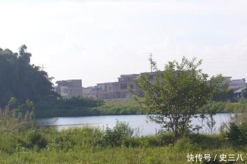  利润@村里有几十亩荒草地，买10头牛回来放养，能不能挣钱？