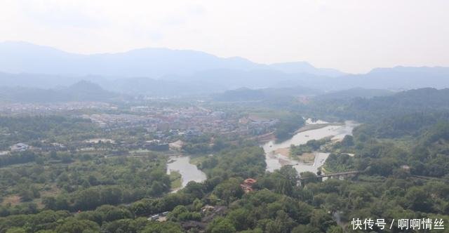 中国有一棵国宝级树，树叶比黄金还珍贵