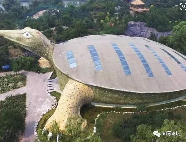  [一大]各省市新出现一大“怪现象”，99%的人没见过！