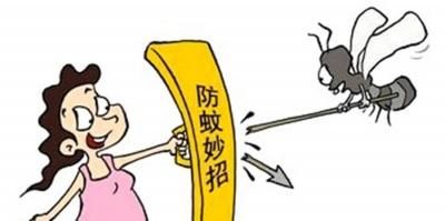  夏日@夏日如何防蚊虫，教你几招就明白了