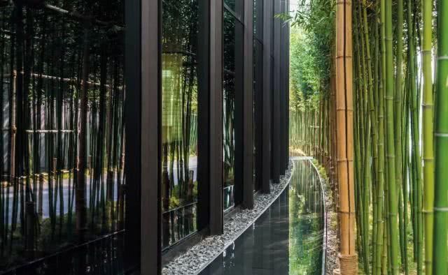 全球38家顶级奢华品牌酒店，你睡过几个？