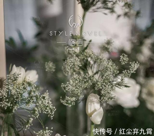 #花园#这场婚礼像极了花园中的清新邂逅