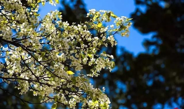 原来“女儿国”是真实存在的，就藏在川西！