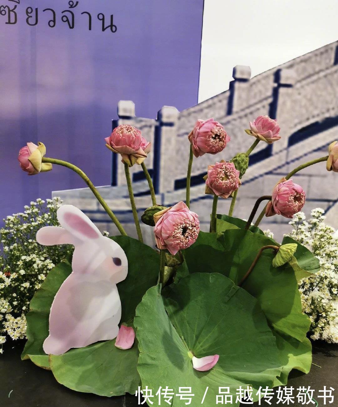 肖战和王一博粉丝怎么了