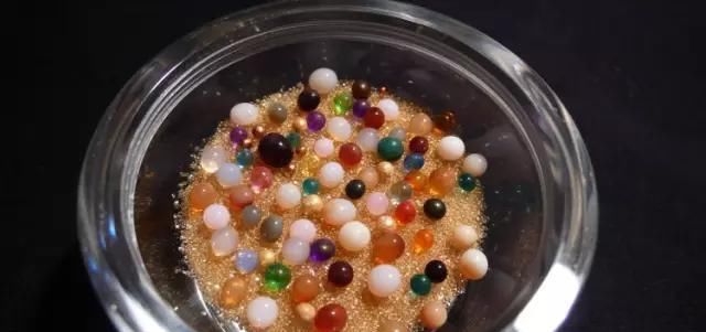  「释迦牟尼」释迦牟尼佛，真身舍利！瞻礼者，获福无量