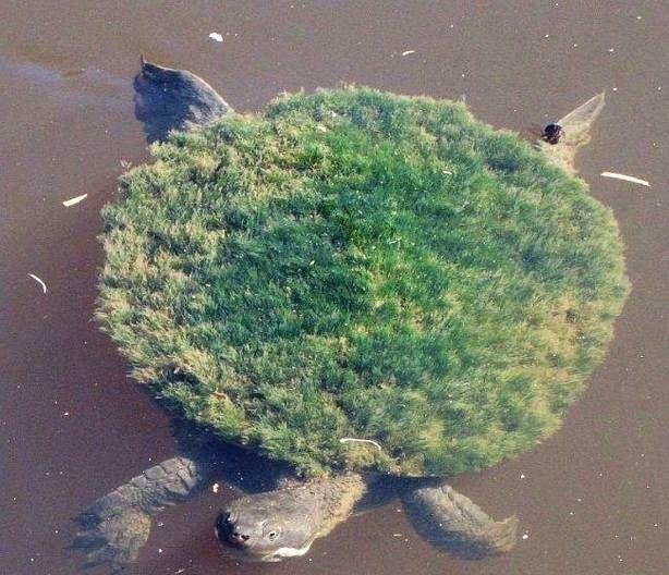 13张像ps出来的图片，却都是自然界真实存在的