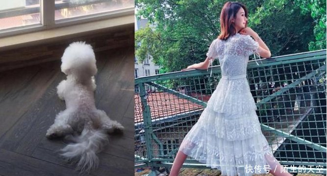 赵丽颖停工休息却被爆怀孕，她十五个字回应，网友：霸气！