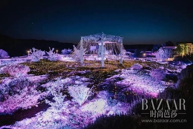 她们的幸福太“刺眼”，说这样的婚礼我一点都不羡慕，你信？