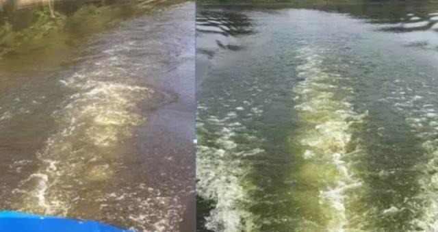 水库养花白鲢，是净化水还是污染水？