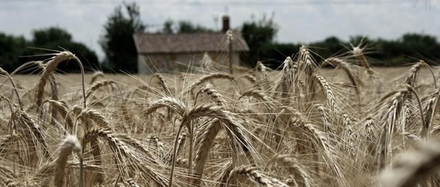  [些地方]2020年是“双春年”？！一年2次立春，3大讲究事关农民