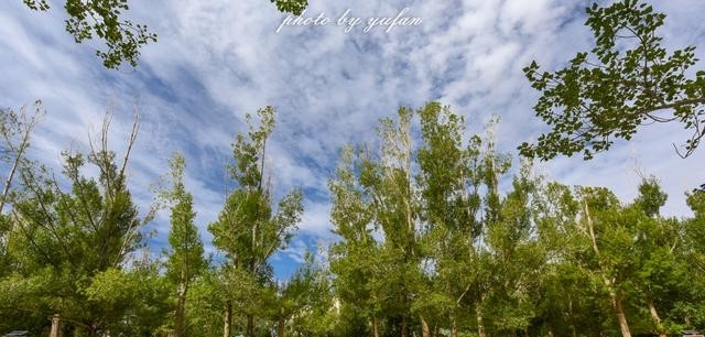 青海茫崖:柴达木盆地的奇迹之城,戈壁滩上的生命绿洲