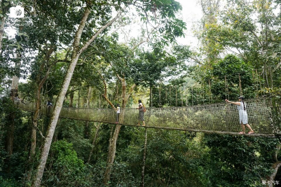  西双版纳@绿水青山就是金山银山，去西双版纳过泼水节！