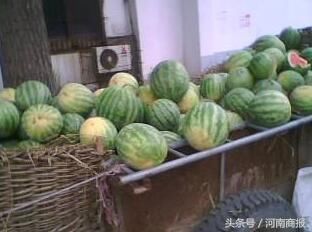 河南一人想让西瓜便宜点，散布谣言:13人吃瓜感染H7N9病毒