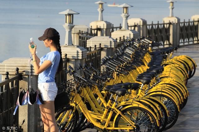 ofo与数字货币GSE关系之谜