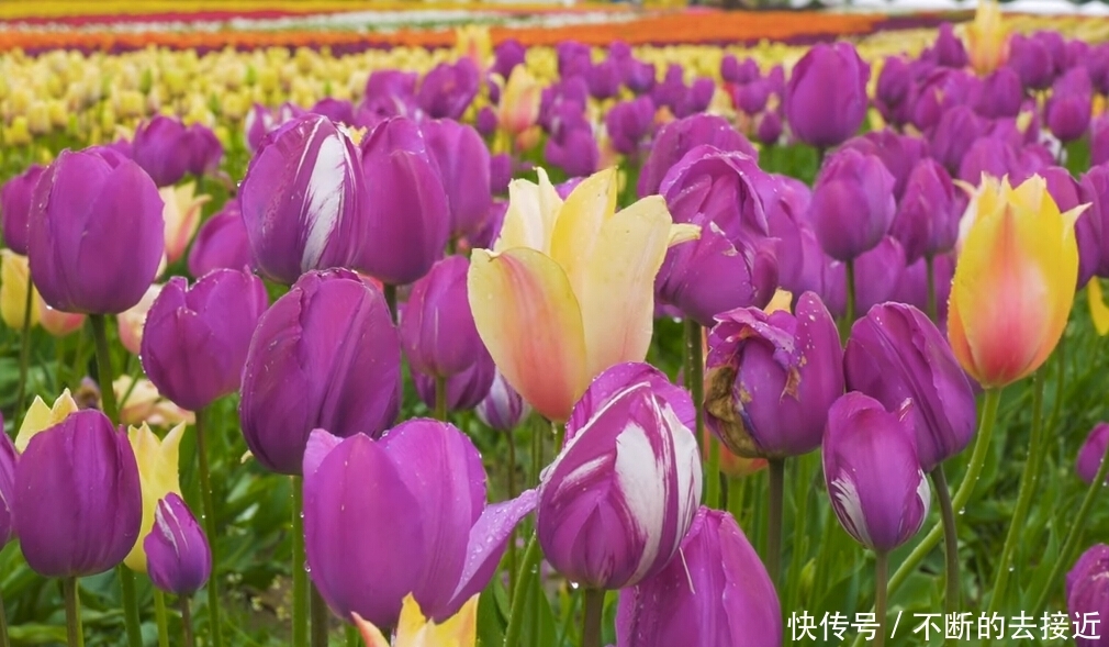 #身体#“他会不会讨厌我呢?”感到犹豫时,就让身体带出行动力