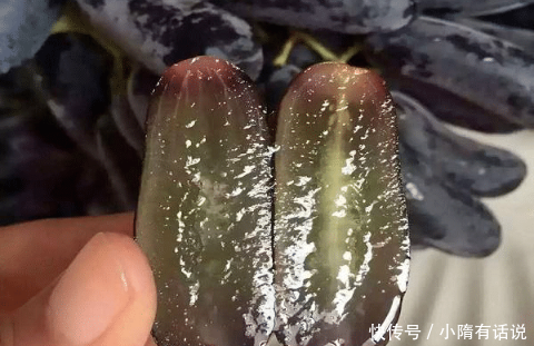 我国比黄金还贵的果树！少吸2包烟，院子也要种2棵，拖拉机拉不完