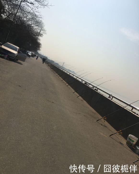 钱塘江已无鱼可钓?江边现“千竿阵”,场面壮观却鱼获惨淡