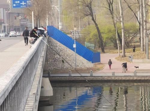  [垂钓]有高度！昨这几人在减河桥上高空垂钓