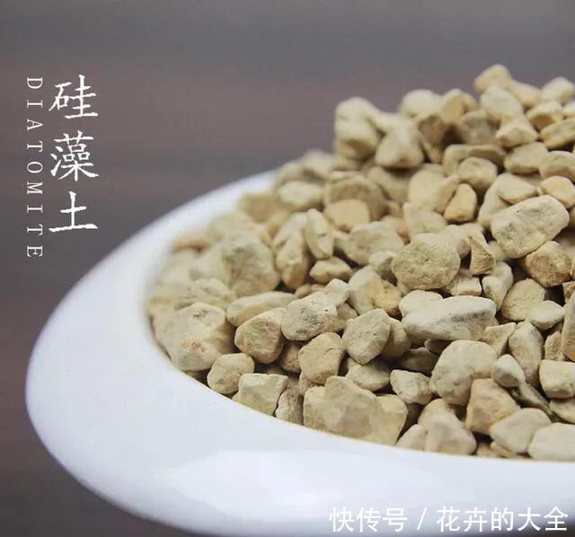  【多肉的时】多肉“铺面”的那些事儿
