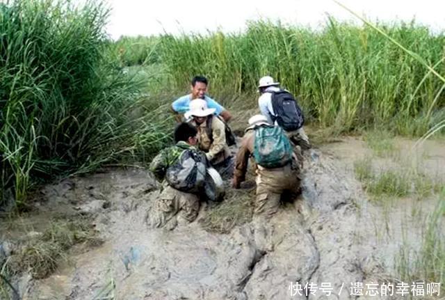 「进口」“教授”好心从国外进口一种植物,如今已经泛滥成灾成为入侵物种