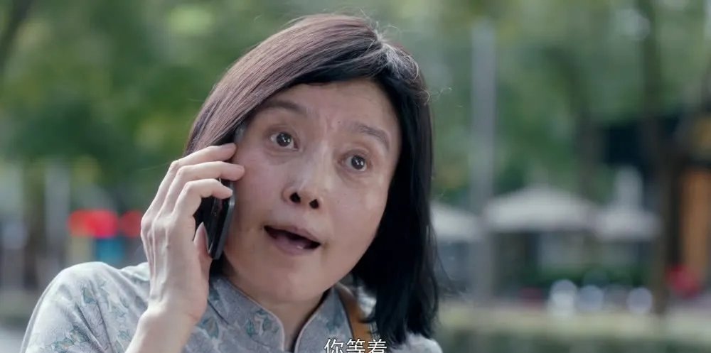  封容■让人喷饭的神仙配角！房似锦的妈在众妈里C位出道，被封容嬷嬷2.0