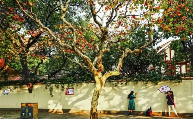 有些路，是一个人的旅行，这些地方适合一个人独享！