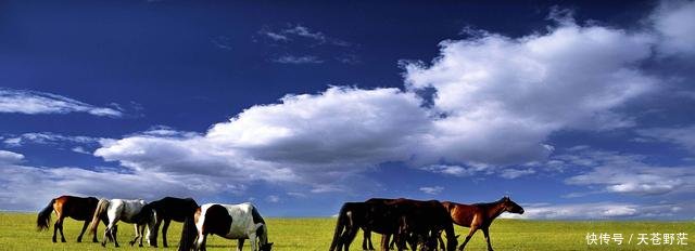  内蒙古■外蒙古后悔了没和内蒙古一比，差了不止一点半点