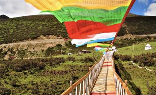 行走在西藏，如遇门口插了树枝的人家，切勿进入