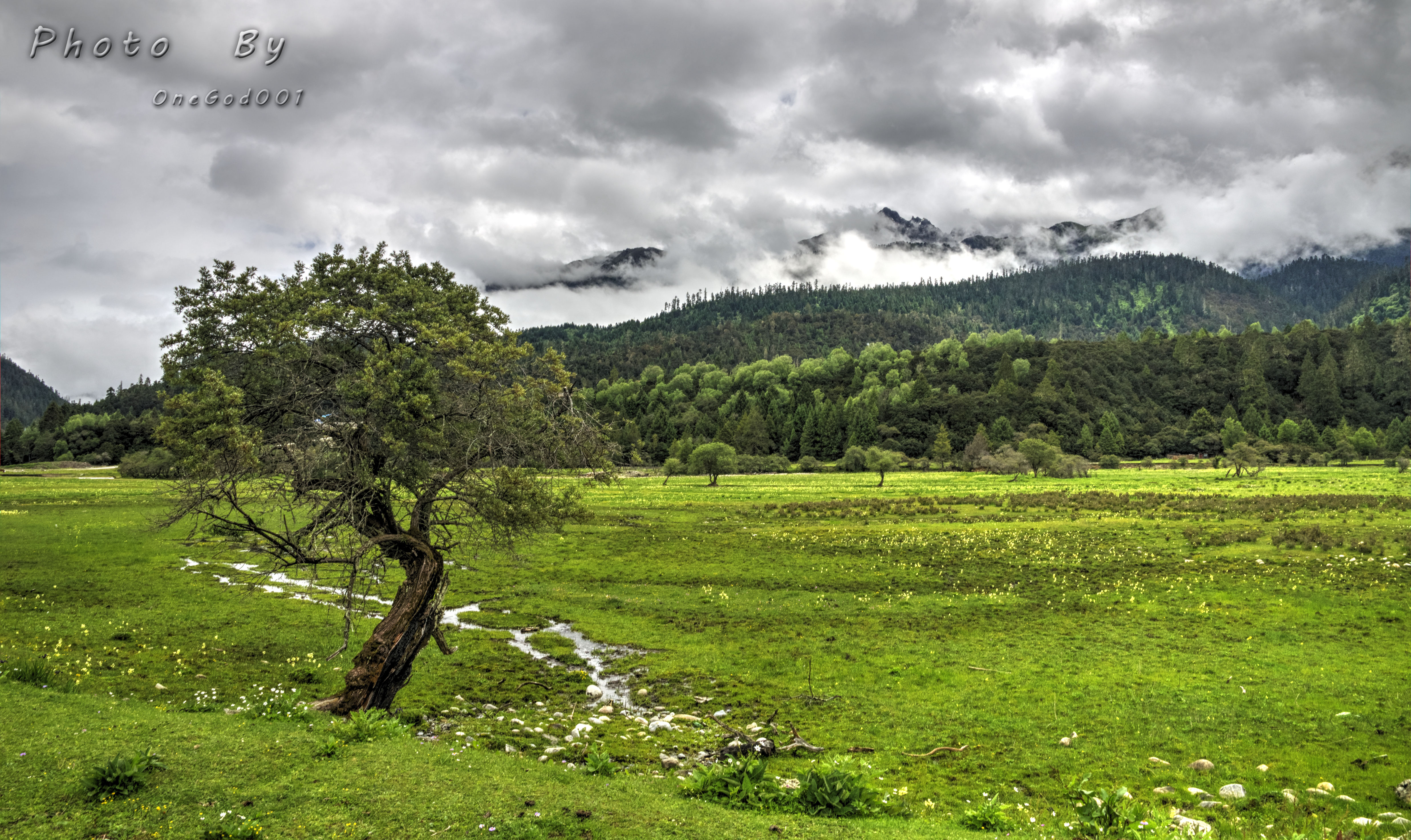 川进青出，十五天三省，318全线，冰川、湖泊、雪山探秘之旅。