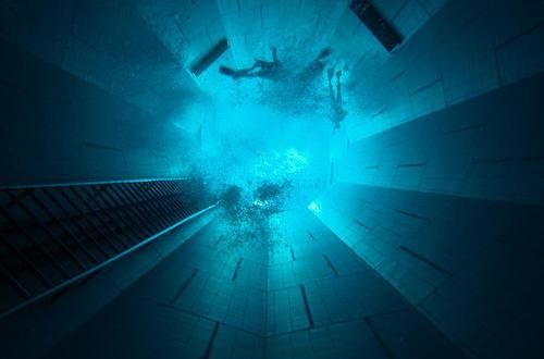 通过19个画面了解从不同角度所看到的世界