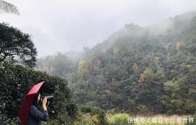 福建与浙江最老的古道，沿线风景秀丽，却鲜为人知